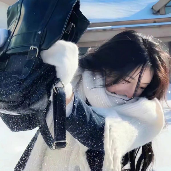 贵妇人
