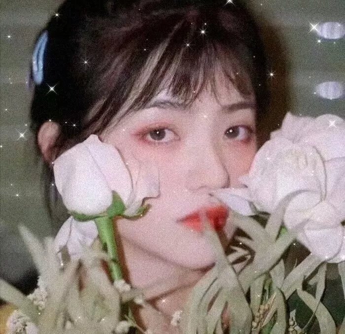 基度山女伯爵