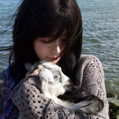 狗假死之物